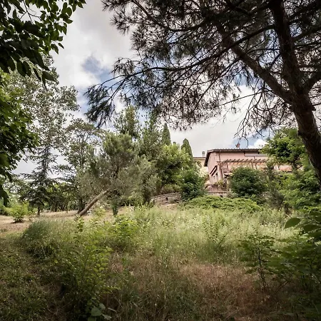 Accademia Al Colle *