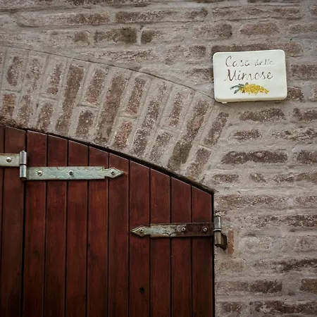 Accademia Al Colle *