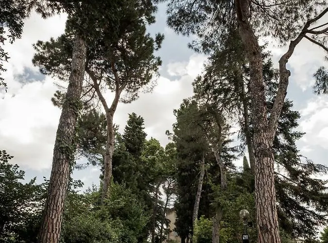 Apartamento Accademia Al Colle Bolonia