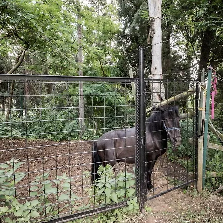 Accademia Al Colle * Bologne