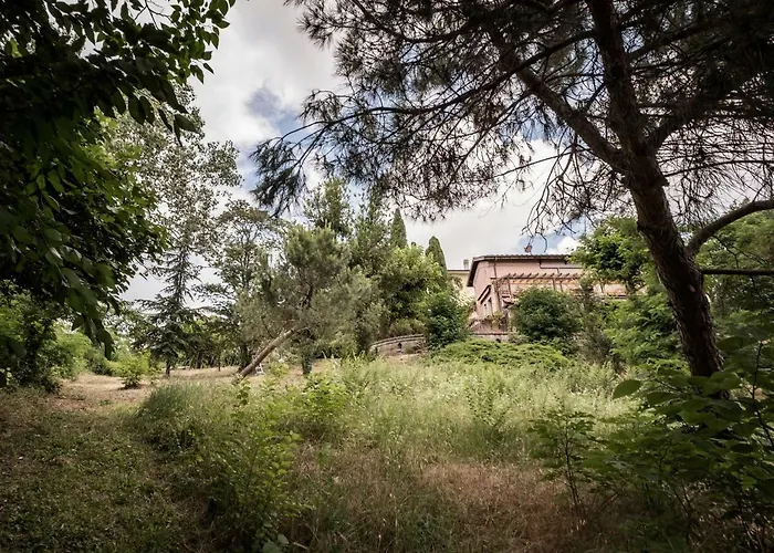 Accademia Al Colle *