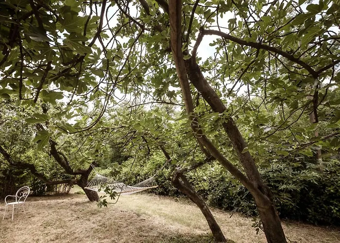 Accademia Al Colle 아파트